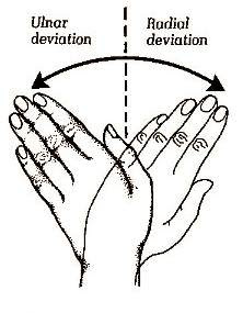 Biokinetic Golf Swing Theory: February 2012