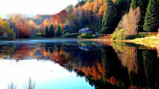 SUPER IMAGENES - PAISAJES NATURALES - FONDOS DE PANTALLA PARA TU CELULAR