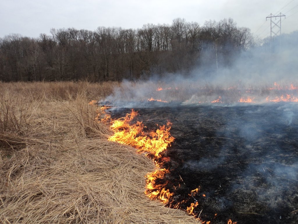 Herman Brothers Blog Burning More Prairie Grass