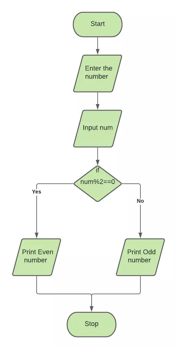 Conditional Statements in C Programming