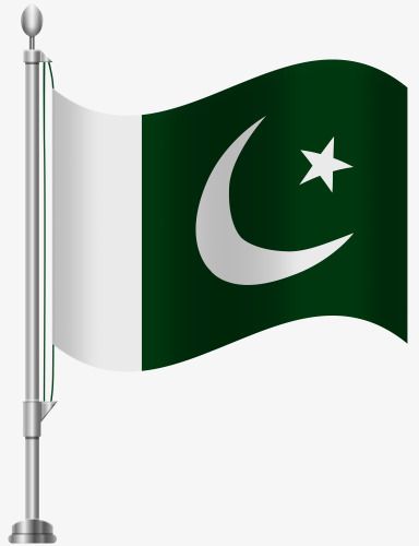 Best Pakistan Independence Day Picture & Images 35 Pakistani%2BFlag%2BHoly%2BDay%2B%252811%2529
