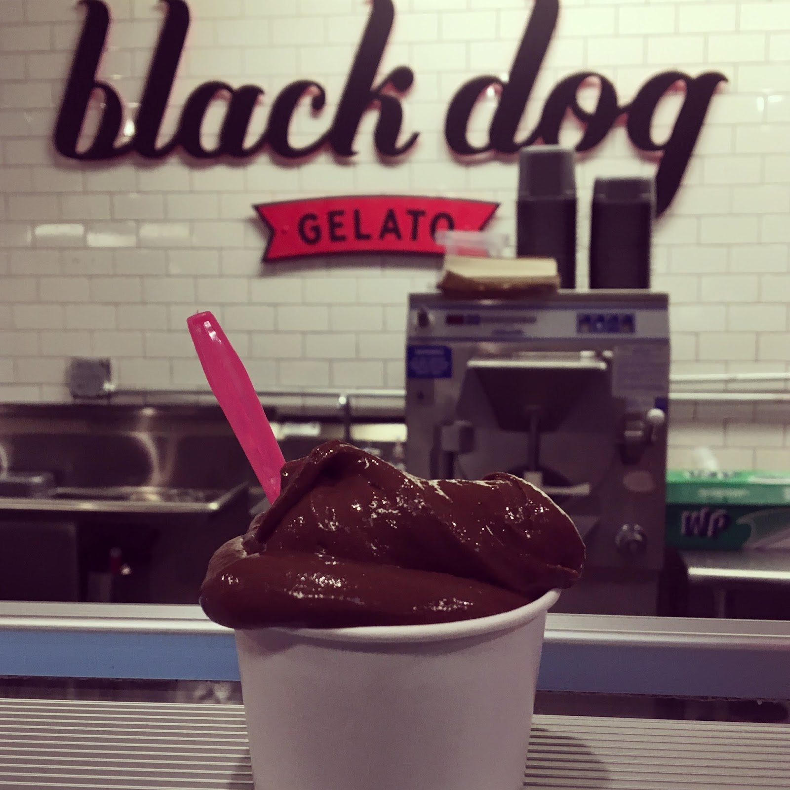 black dog gelato.