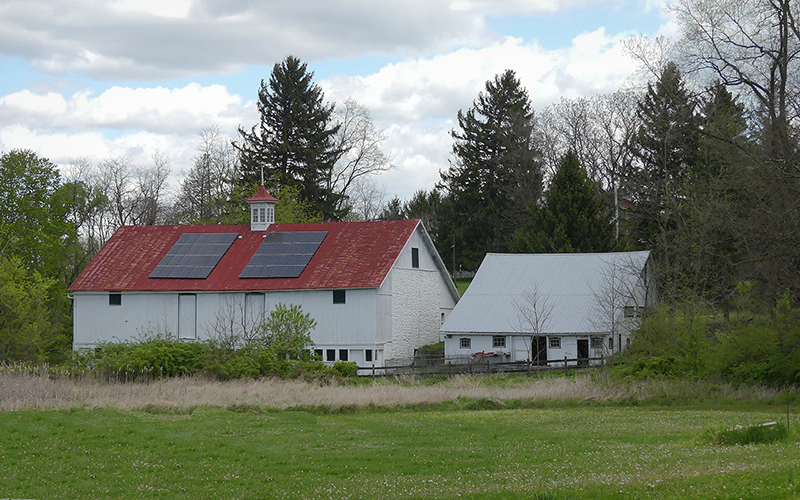 Roy's World A Short Walk