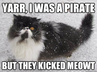 Cat Memes Photos Cat Memes Photos