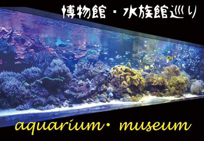 博物館・水族館↓click