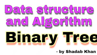 Binary Trees In Data Structure | Algorithm | Learnengineeringforu