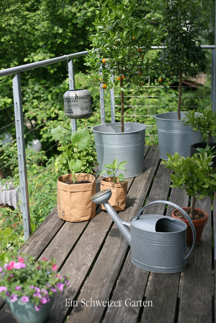 Ein Schweizer Garten