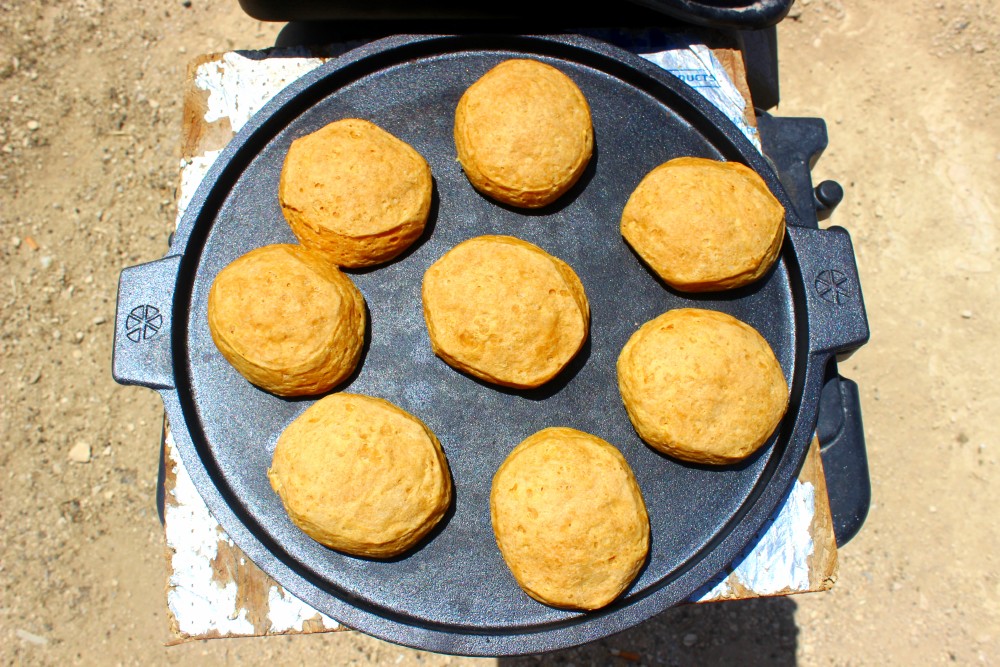 chicken in a biscuit for sale chicken in a biscuit for sale