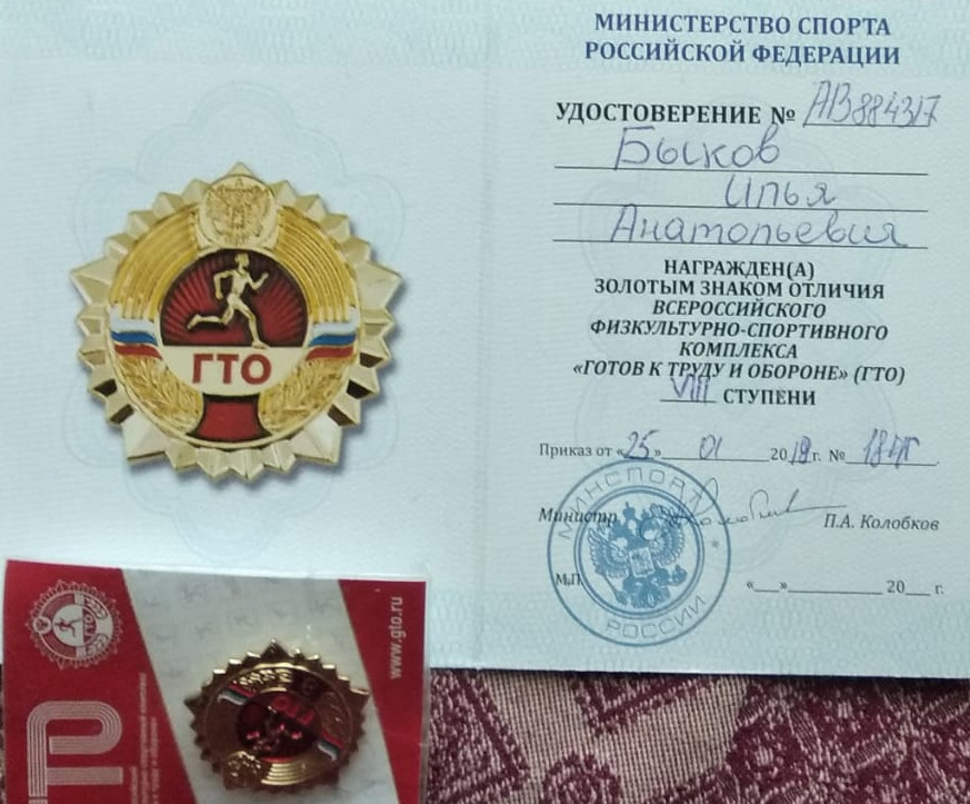 удостоверение гто золотой знак. удостоверение к знаку гто. номер значка гто. удостоверение гто. гто удостоверение и значок.