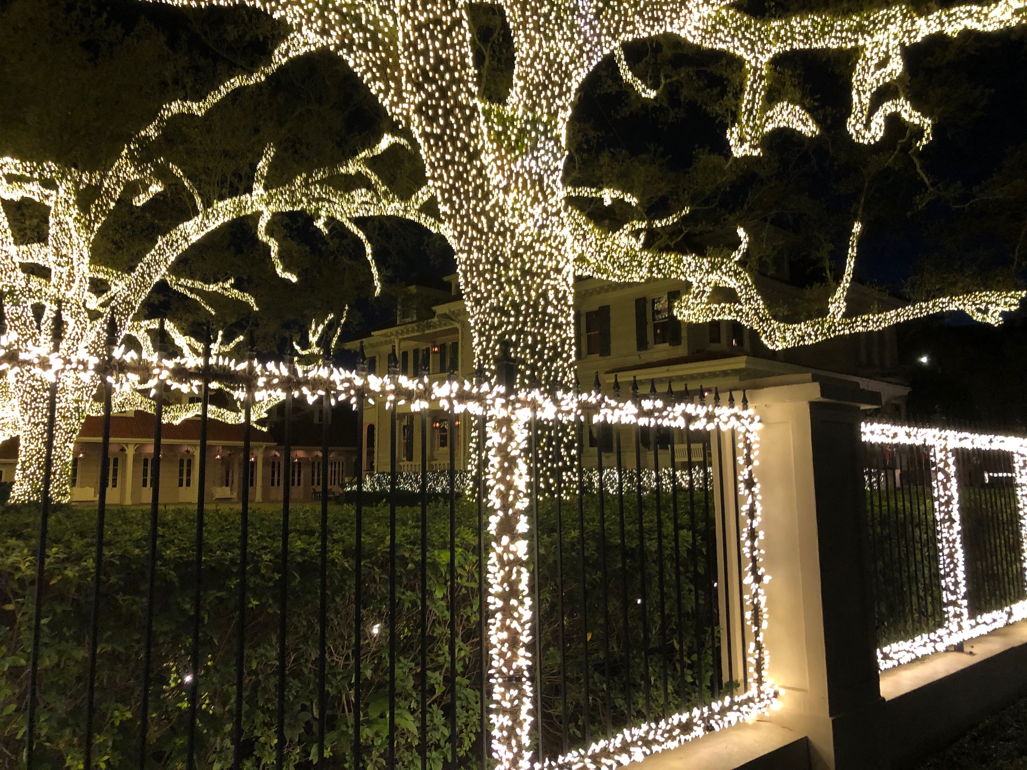 The Uptown Acorn It's Christmas Time {St. Charles Avenue & Uptown Lights}