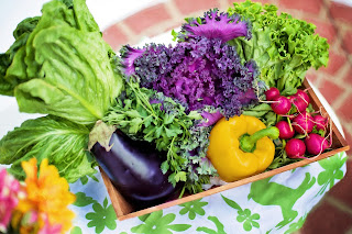 Why Raw Food Diet is Important In Today Generation?