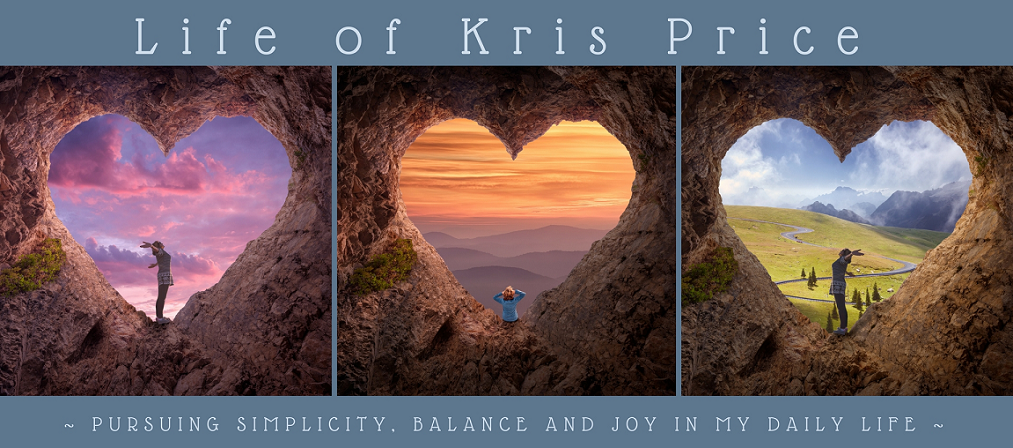 Life of Kris Price