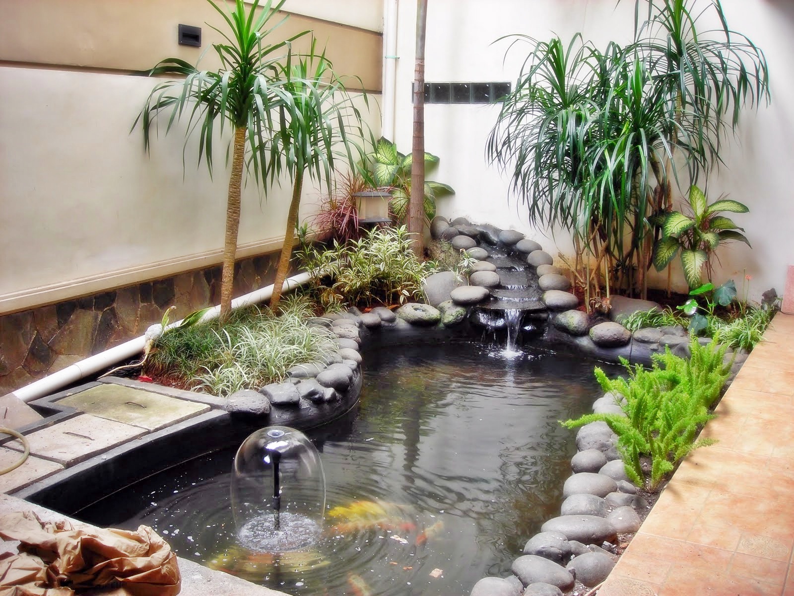 11+ Arti Mimpi Kolam Ikan Habis