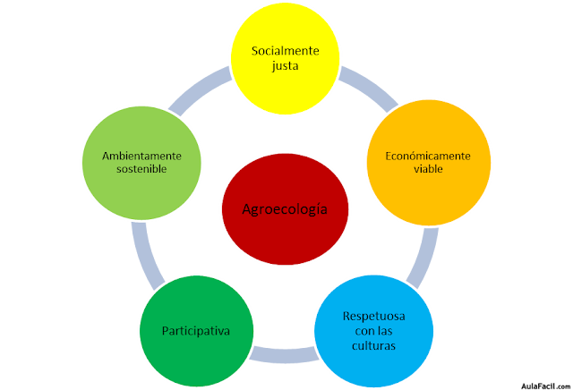La agroecología es una ciencia integradora, que se ocupa del estudio de la agricultura desde un punto de vista global. AulaFacil.com. Esquema. Distintos aspectos de la agroecología.