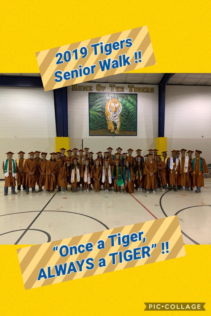 tiger senior tour