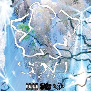 Surf Gang - SGV1 Music Album Reviews