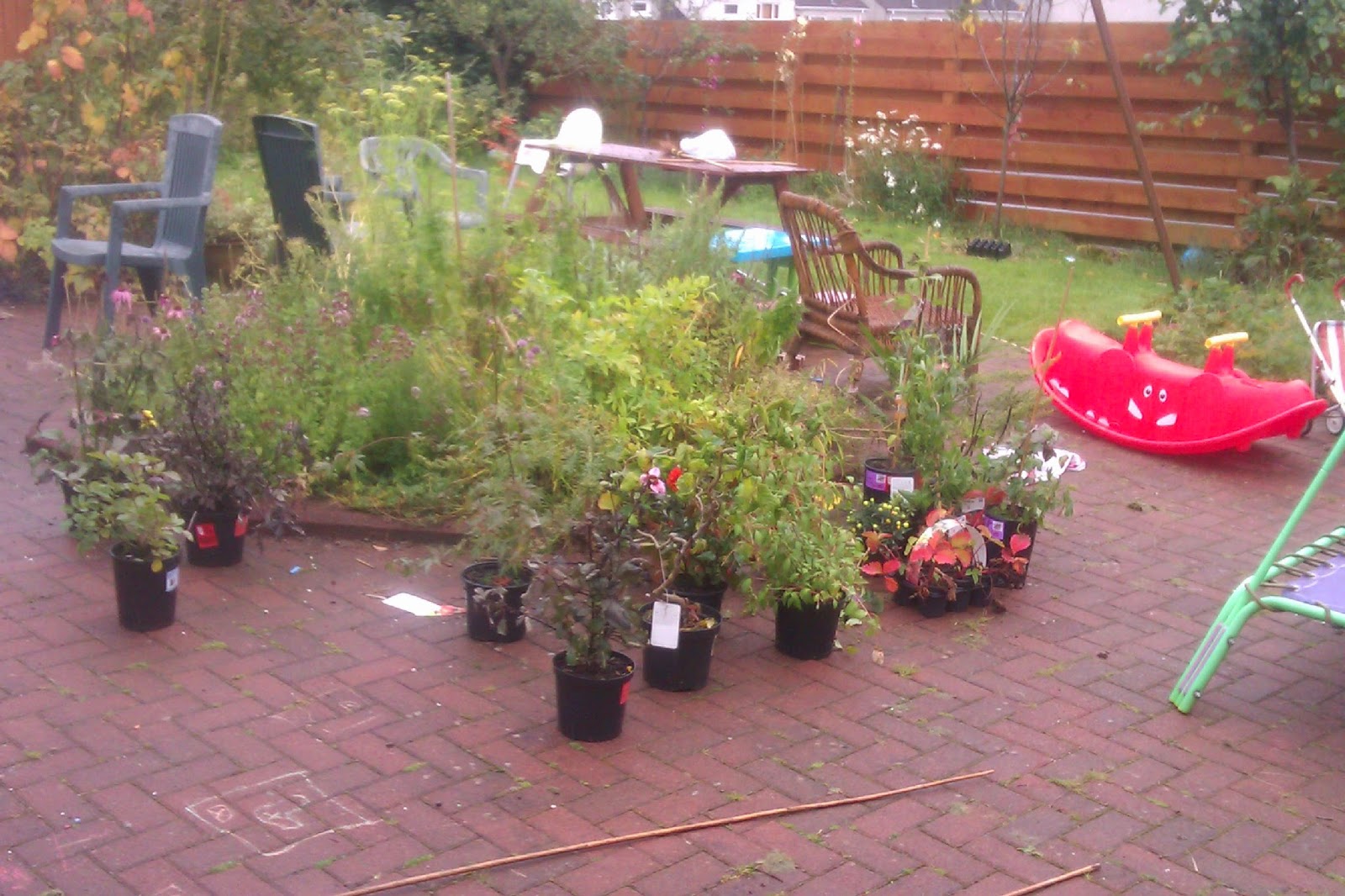 (Liste) B Q Shrubs Best PhotoPnG