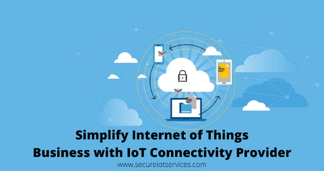 Simplify Internet of Things Business with IoT Connectivity Provider