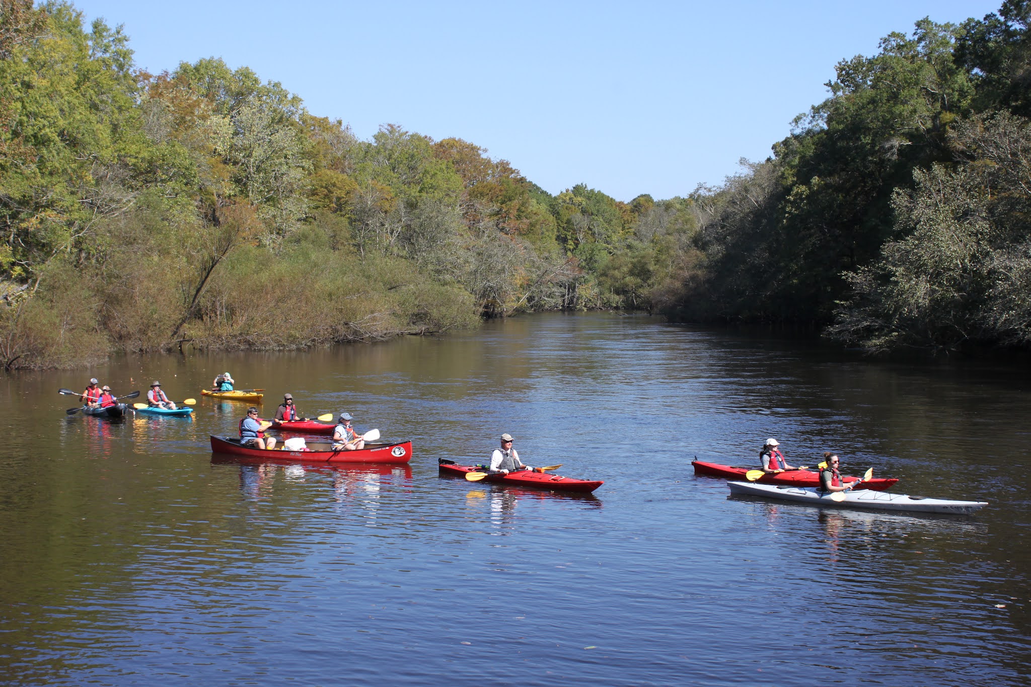 Lowcountry outdoors 2021 Edisto River Canoe and Kayak Commission Winter Paddle