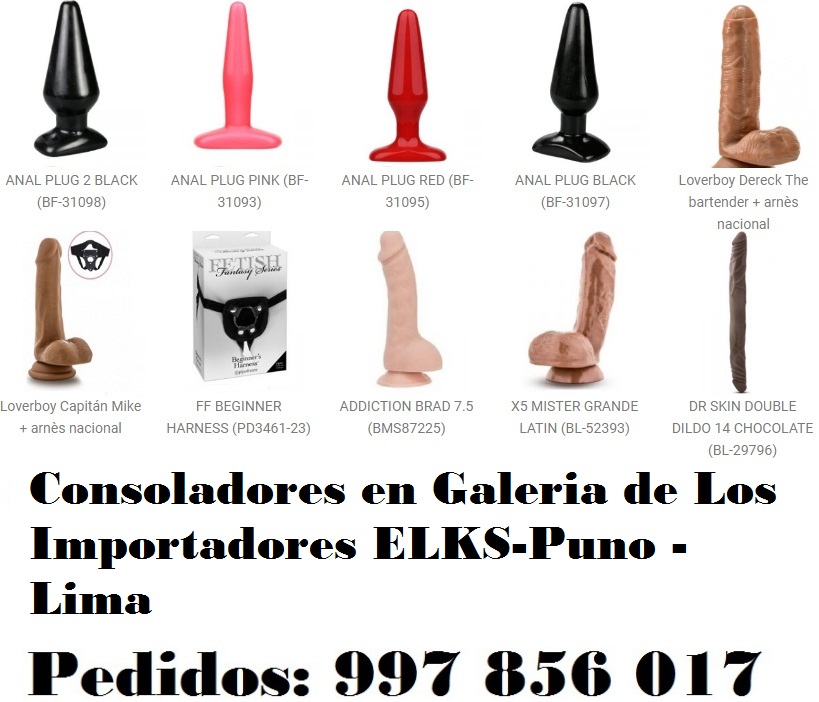 en Galeria de Los Importadores ELKS-Puno - Lima