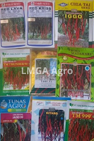 fungisida yang bagus, cabe, acrobat 50 wp, basf, penyakit daun cabe, jual pestisida, toko pertanian, toko online, lmga agro