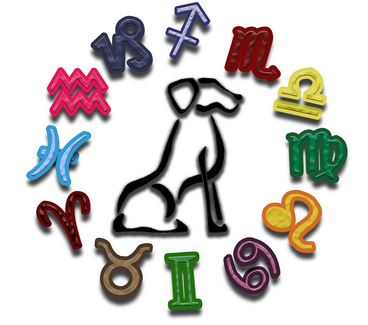 Το ζώδιο του σκύλου σας