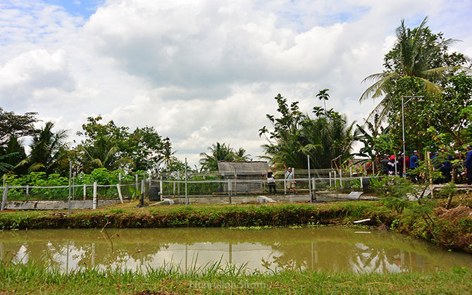 Lokasi budidaya ikan menggunakan Metode Booster di Malangan