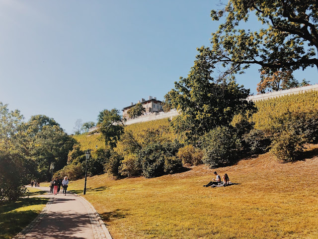 Prague Off The Beaten Track - Vineyard park in the middle of the city Prague Off The Beaten Track - Vineyard park in the middle of the city