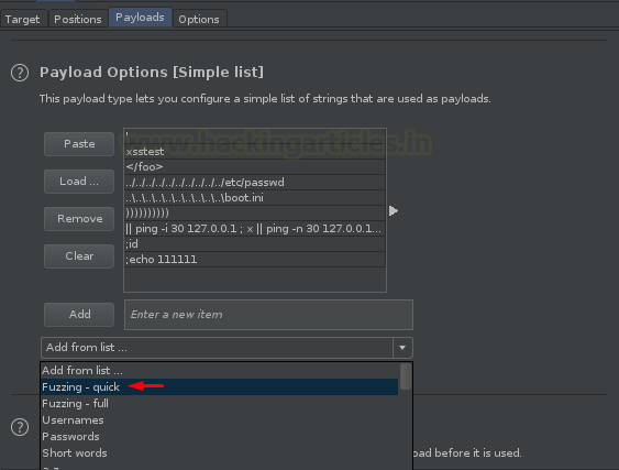 Burp Suite Fuzzing with Intruder 2