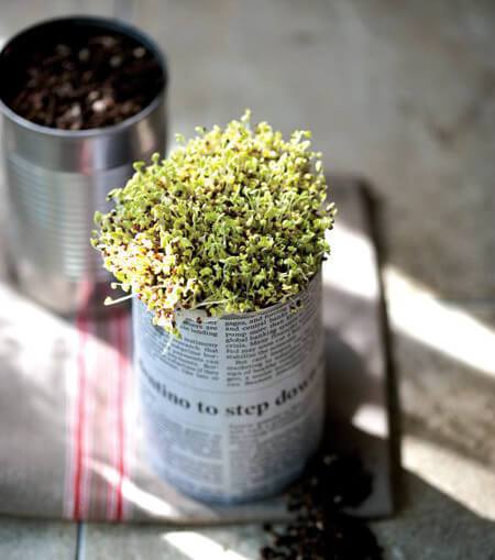 ideas para reciclar latas