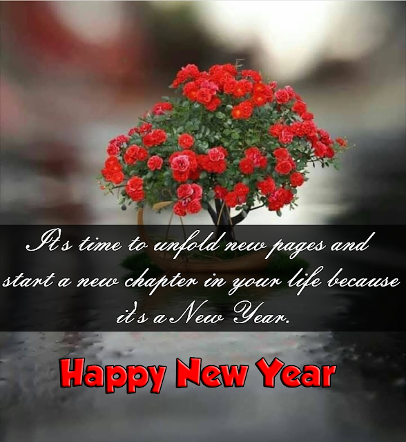happy new year 2020 wishes,happy new year 2020 quotes