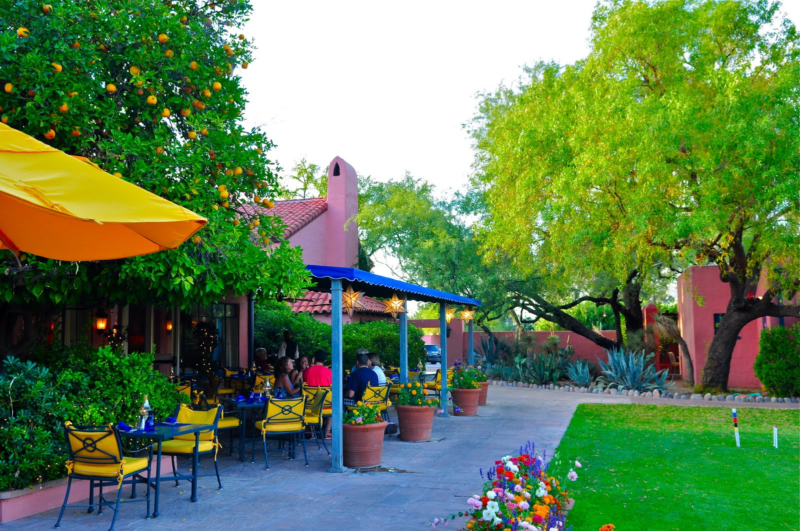 Scottsdale Daily Photo Photo Arizona Inn Lunch Patio