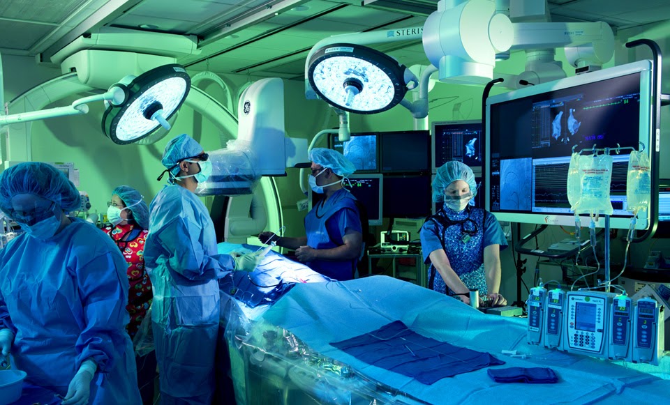 Global Market Business Research Reports Global Electrophysiology