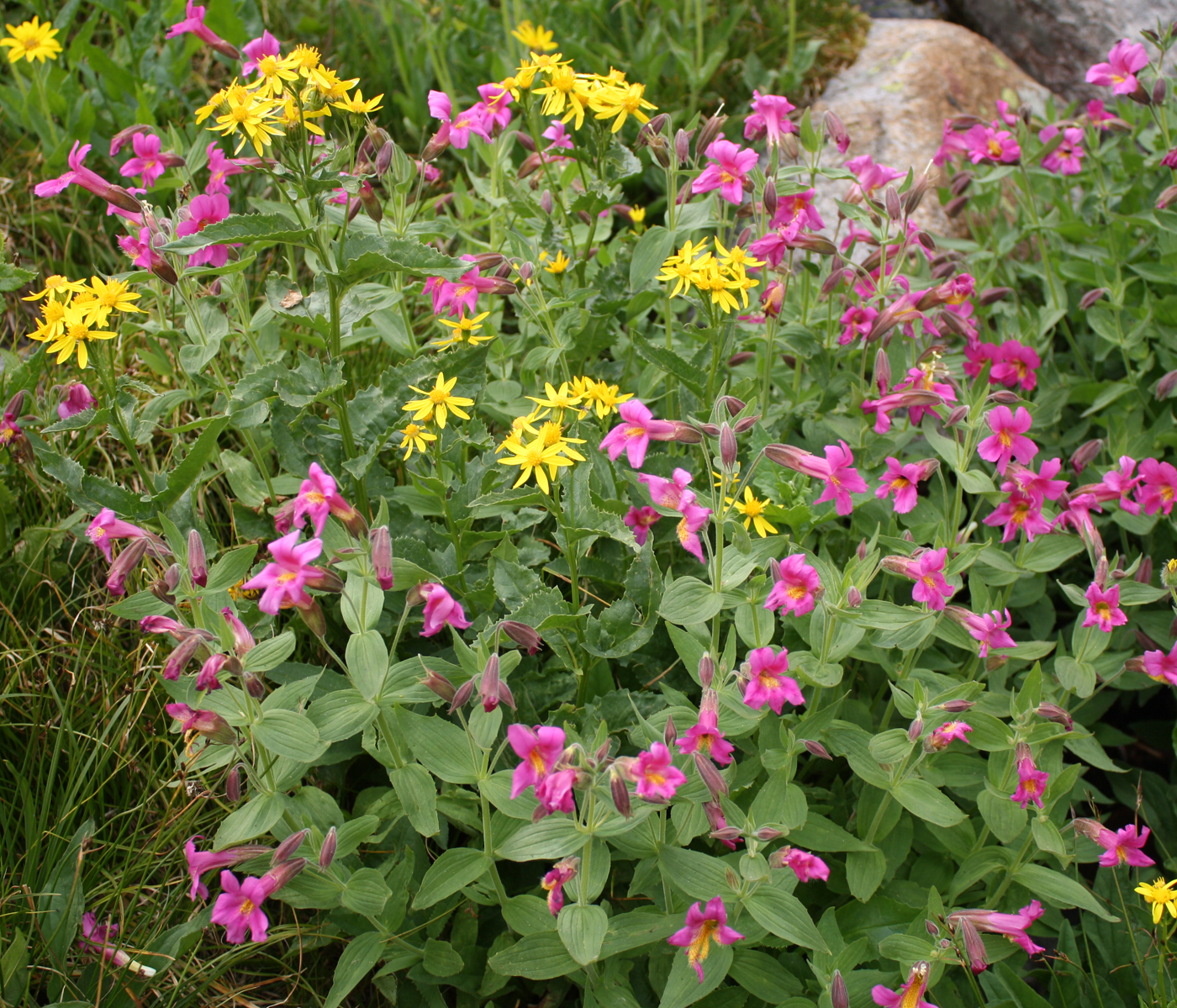 Living and Dyeing Under the Big Sky Fossil Lake East Rosebud Outlet