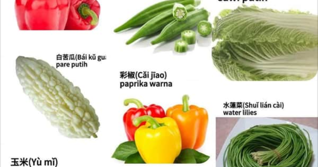 Nama Sayuran Beserta Gambarnya Sayursayuran dalam