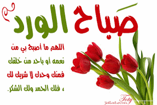 %25D8%25B6%25D8%25A8%25D8%25A7%25D8%25AE%2B%25D8%25A7%25D9%2584%25D8%25B1%25D8%25B6%25D8%25A7-%25D9%2585%25D8%25B5%25D8%25B1%25D8%25A7%25D9%2588%25D9%2589%2B%25D8%25A7%25D9%2584%25D8%25B4%25D8%25A7%25D9%2585%25D9%2584
