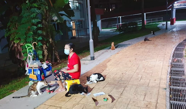Allegedly Lim feeding community cats on Mei Ling St.