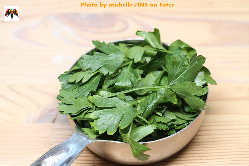 Propiedades nutritivas del perejil الخصائص الغذائيّة للبقدونس