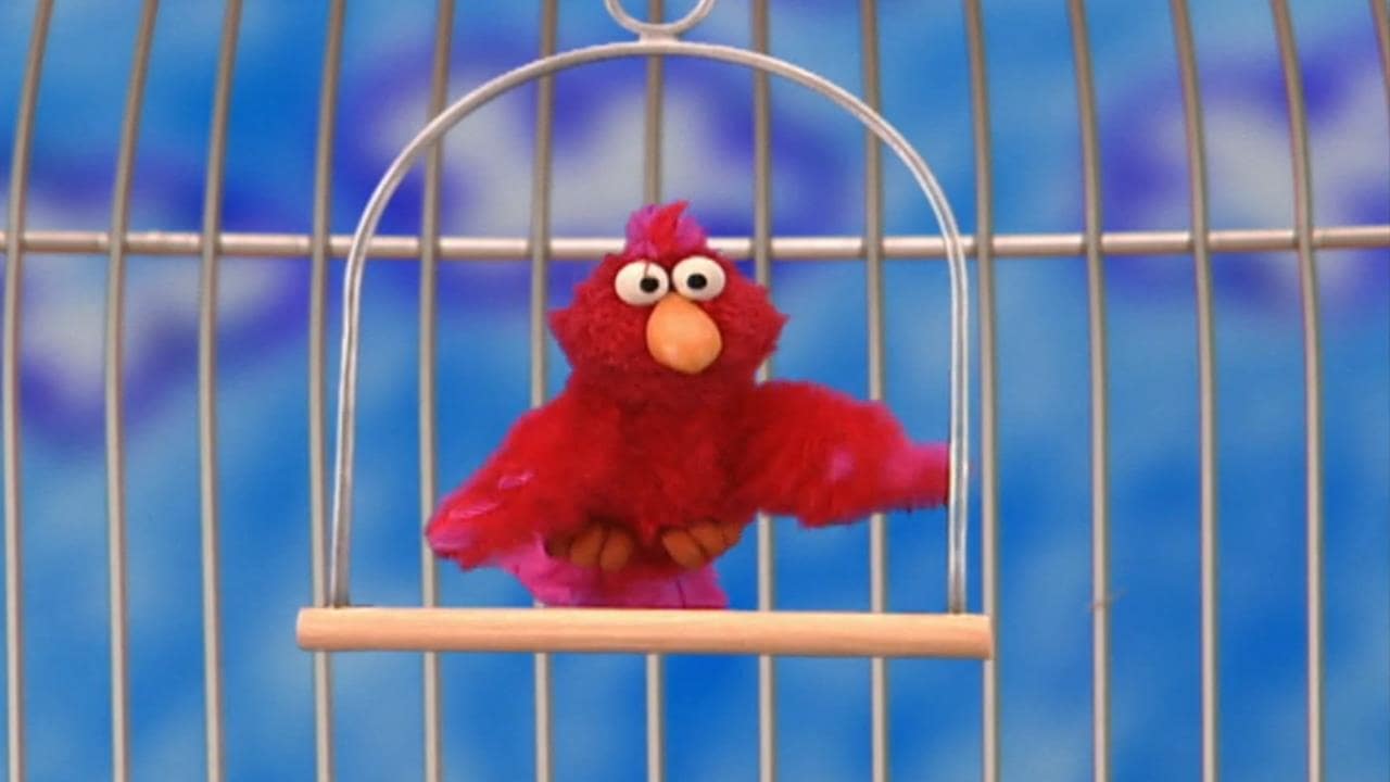 number of sesame street episodes number of sesame street episodes