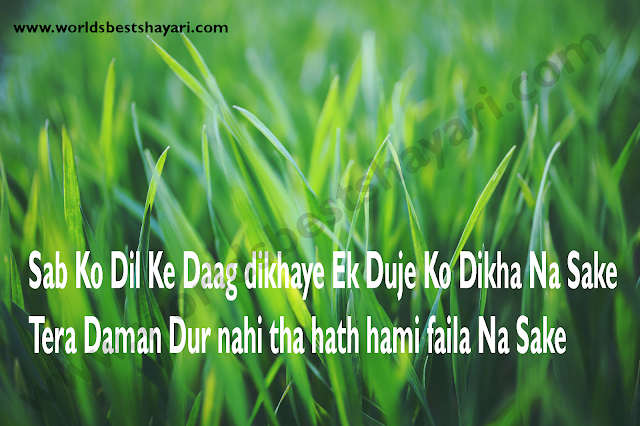  Daman Shayari