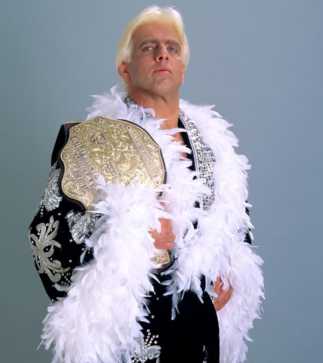 The Wrestling Insomniac The Greatest Robes in Wrestling