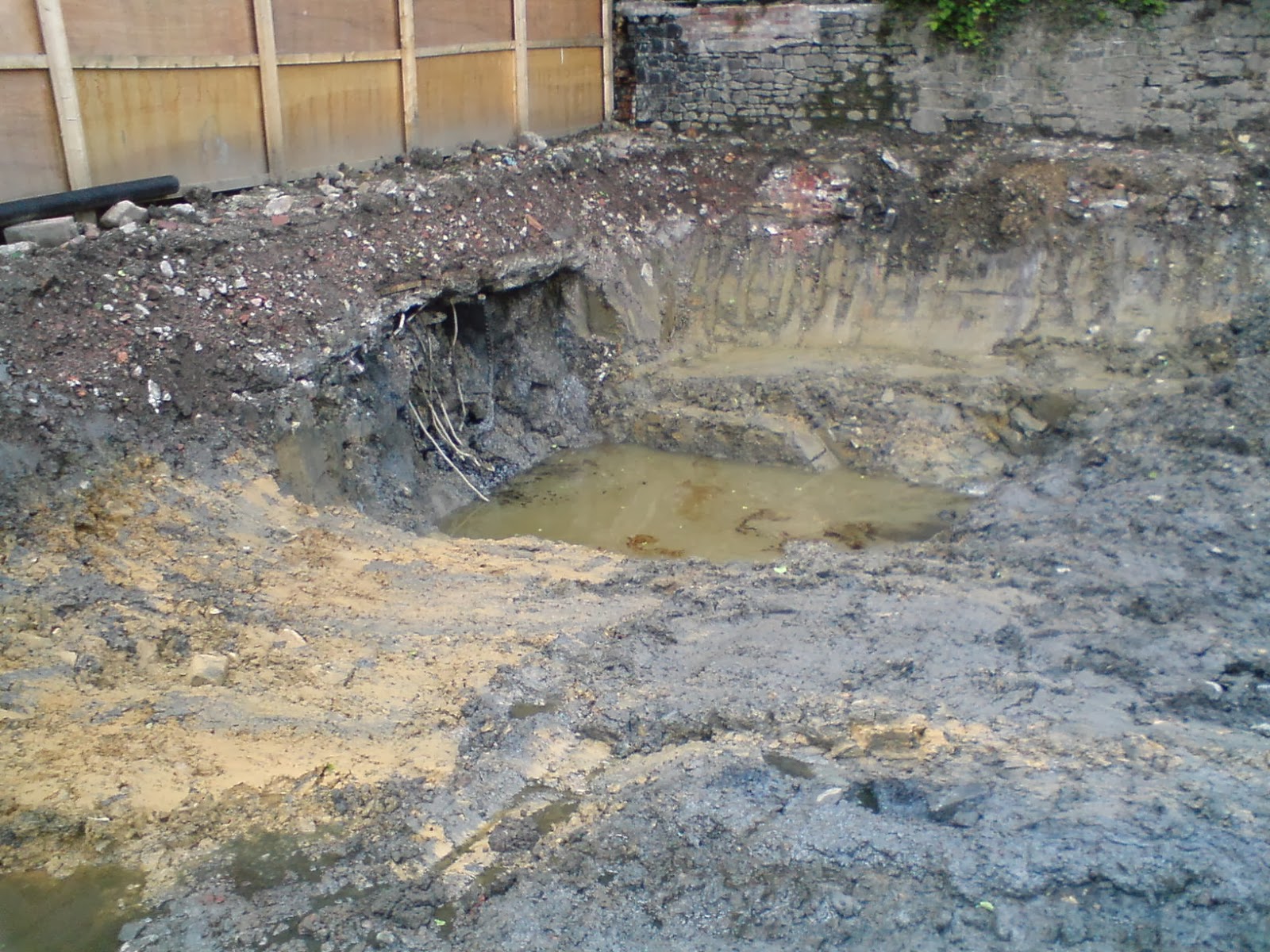 SCIENCE BLOG. YEAR 4 PROTECTING ECOSYSTEMS POLLUTION