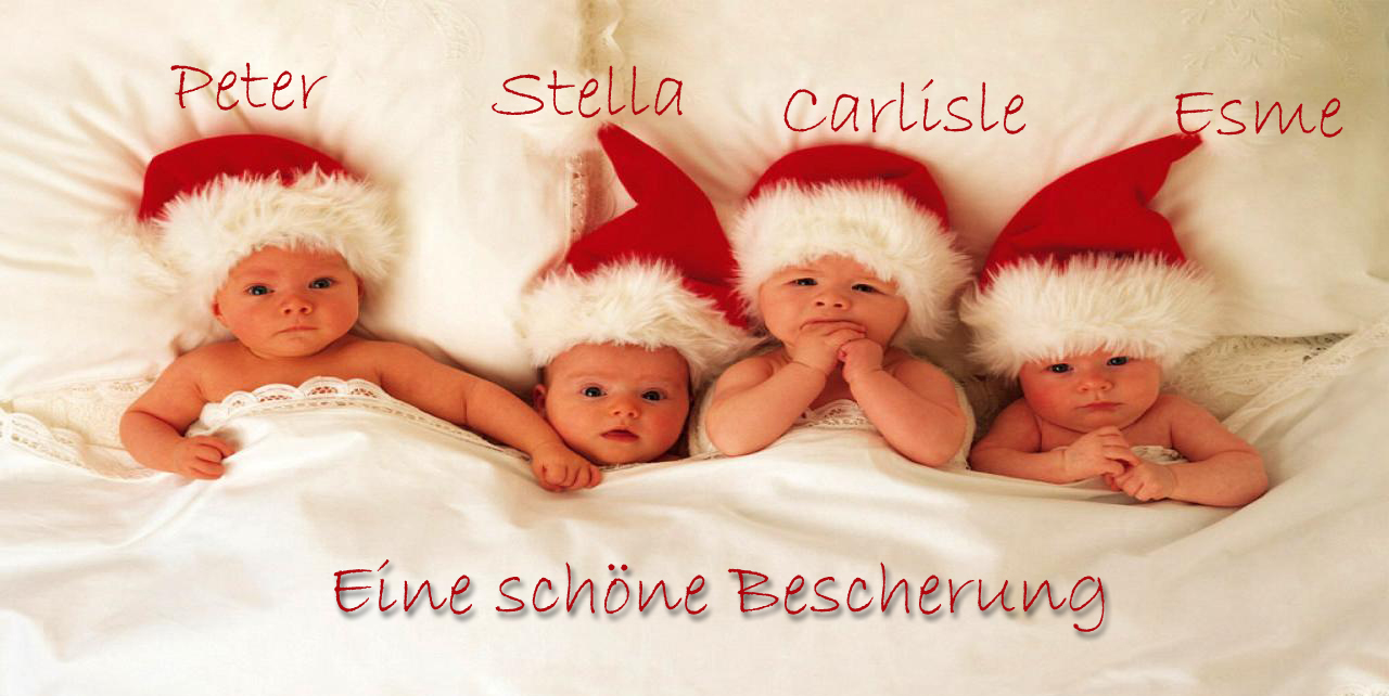 Adventskalender Eine schöne Bescherung