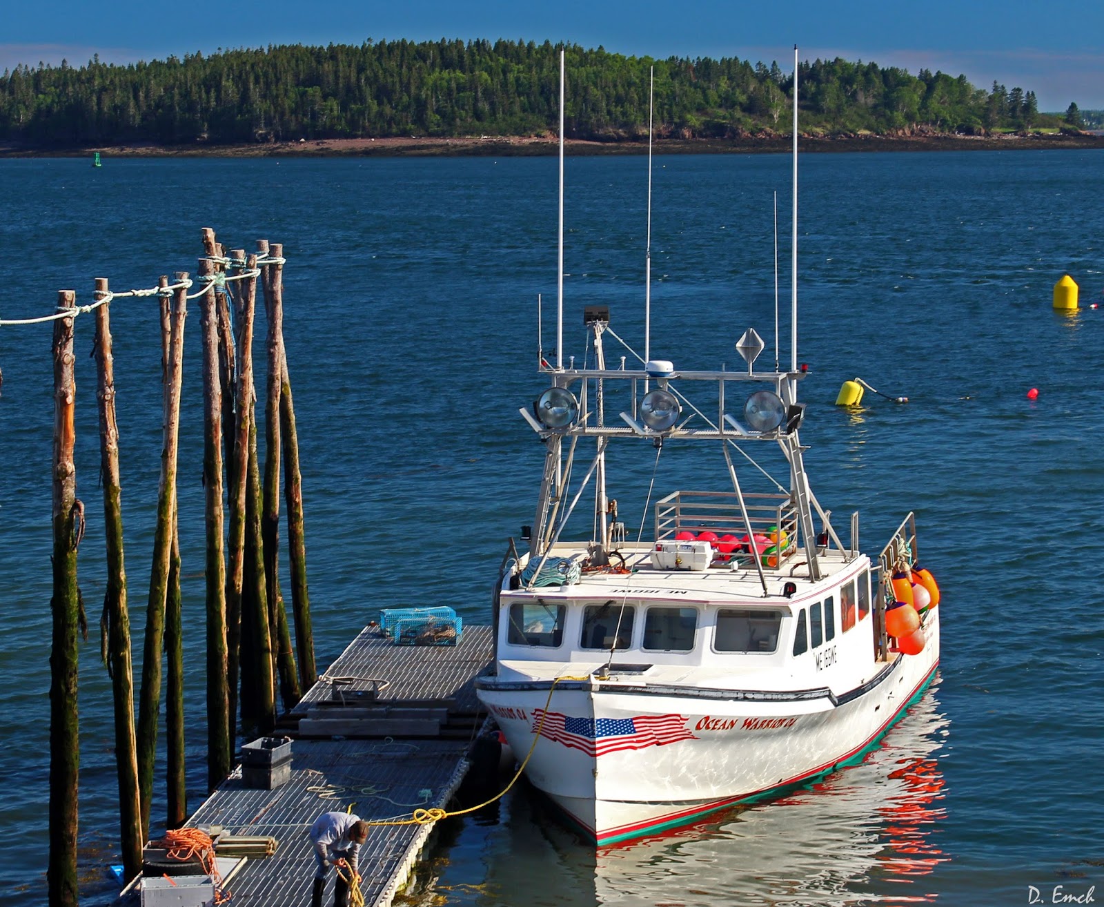 Capture America Journal Maine Eastport Lobster fishing