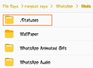 cara download video status whatsapp