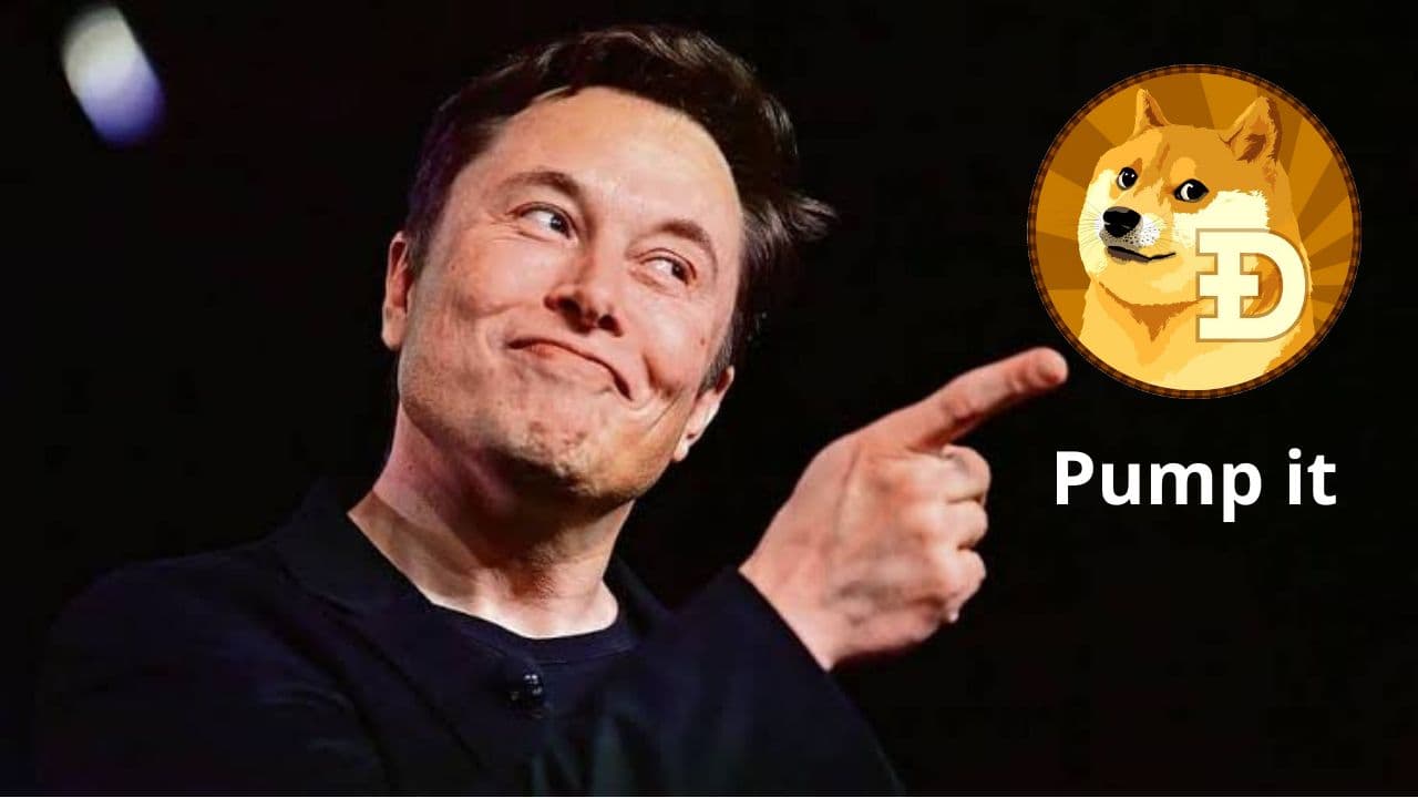 Elon Musk and Doge coin cryptocurrency