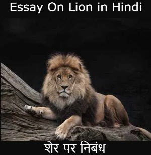 Essay on Lion in Hindi