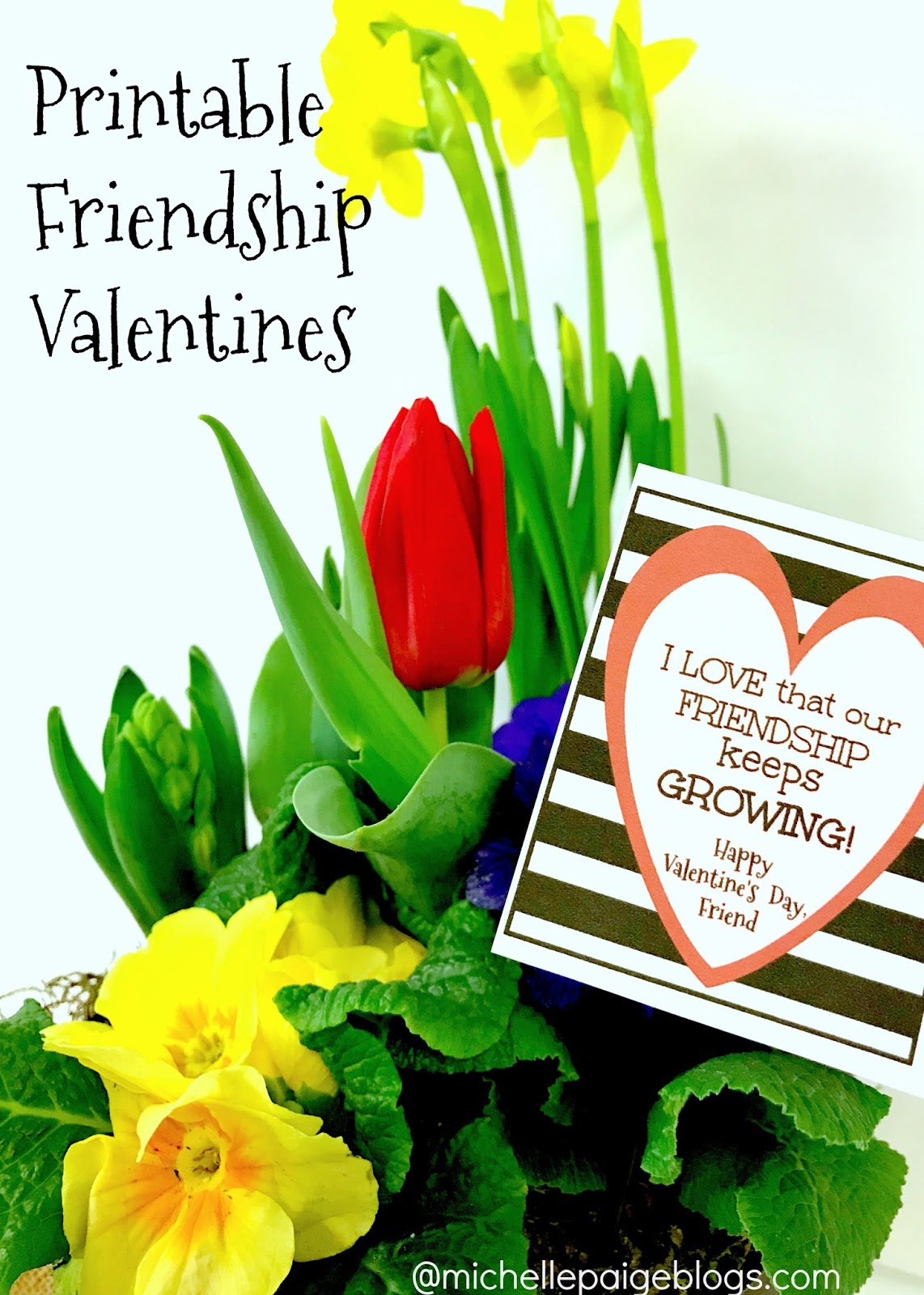 michelle-paige-blogs-printable-friendship-valentines
