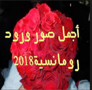 اجمل بوكيه ورد راقي جدا ورومانسي للحبيب واجمل ورد احمر 2018 اجمل بوكيه ورد راقي جدا ورومانسي للحبيب واجمل ورد احمر 2018