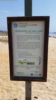 BEACH / Lagoa de Santo André, Santiago do Cacém, Portugal